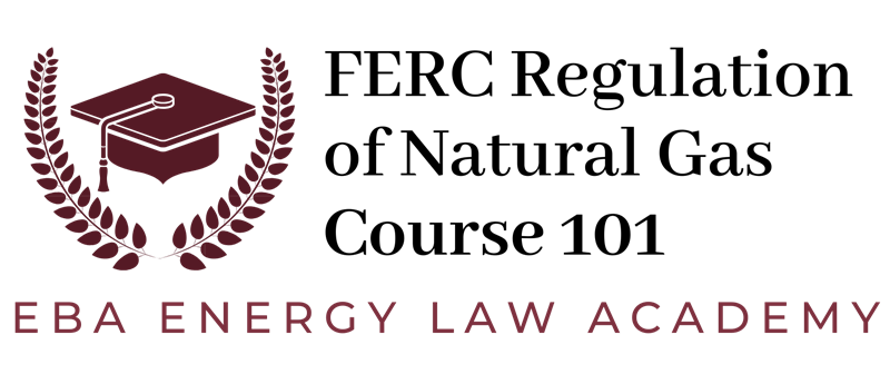 Energy Law Academy - EBA